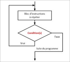 Organigramme exemple